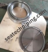 Titanium Spectacle Blind Flange